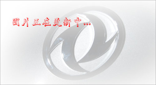 CLW5250TPBT4ƽ䳵